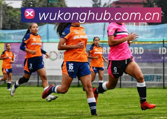 悟空体育APP 体育赛事宣传图